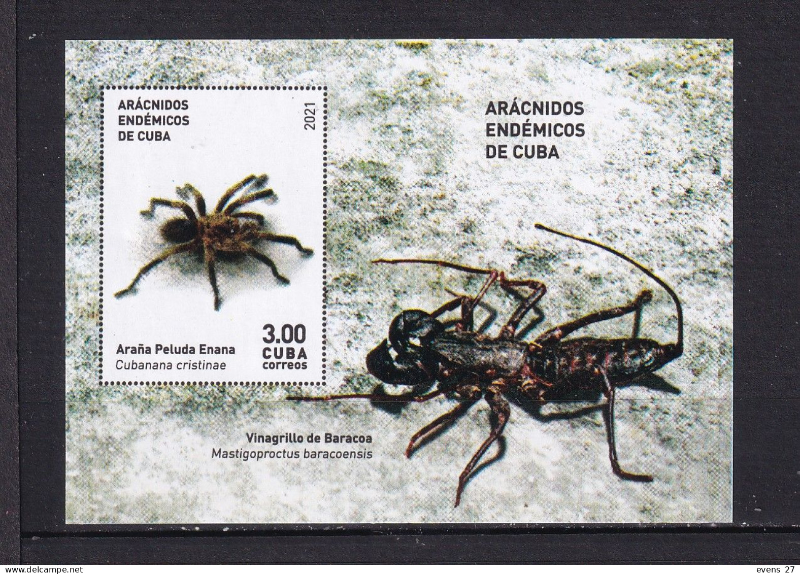 CUBA-2021-SPIDERS-MNH- - Blocchi & Foglietti