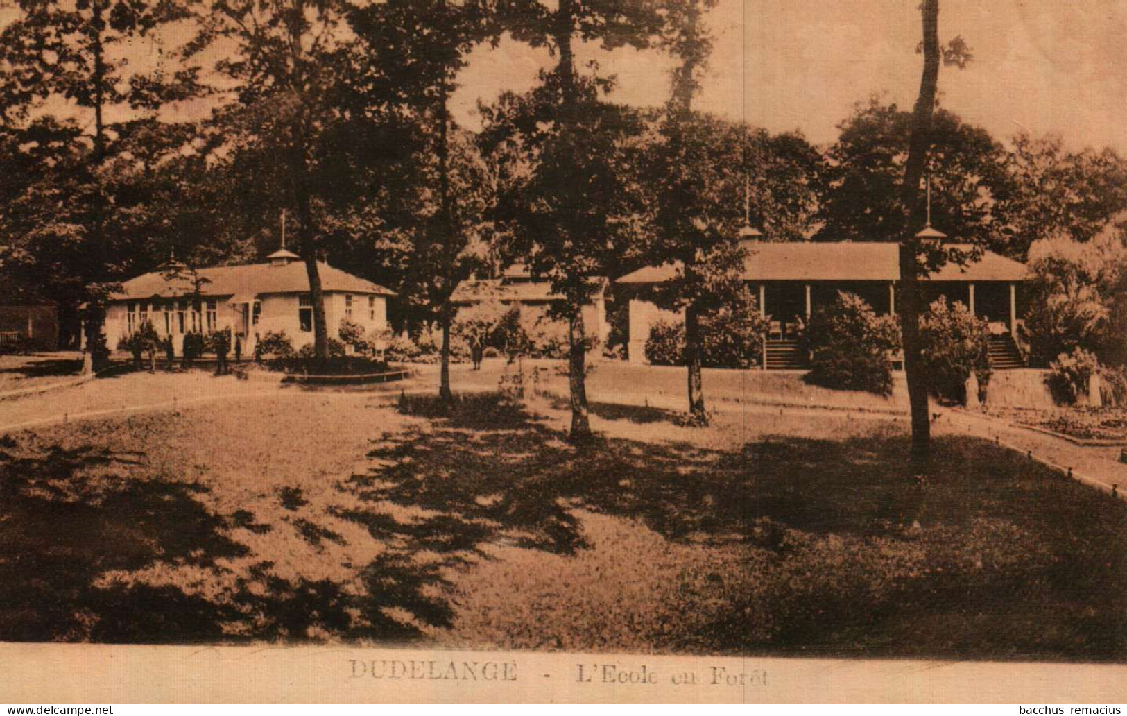 DUDELANGE -   L'École En Foret - Cachets Postaux : Dommeldange : 15.10.1930 Et Strassen : 15.10.1930 - Dudelange