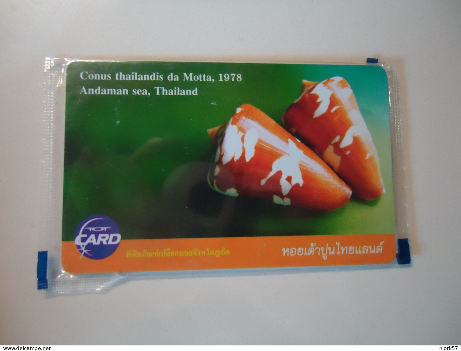 THAILAND   MINT  TOT CARDS   FISHES   SHELLS - Poissons