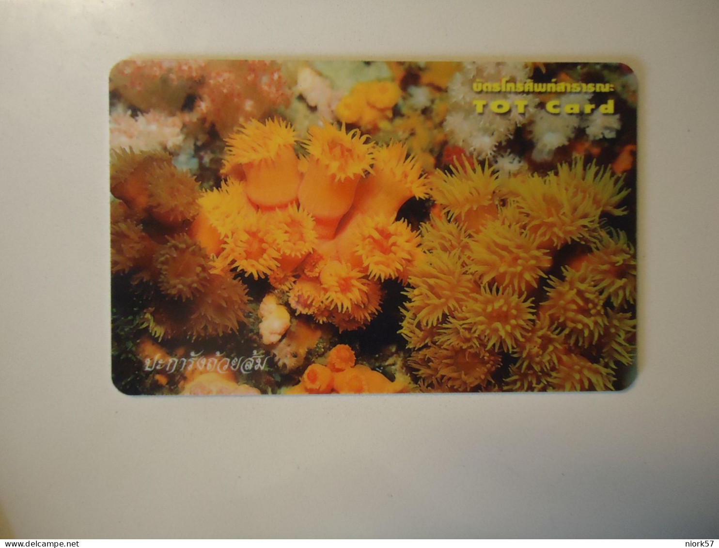 THAILAND USED  CARDS TOT CHIPS MARINE LIFE FISHES  CORAL - Fische