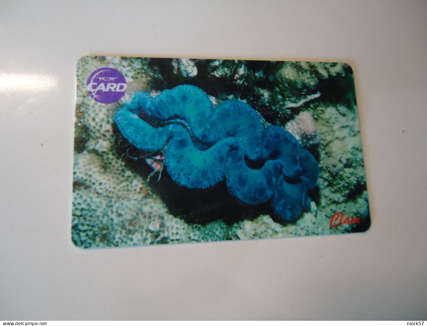 THAILAND USED  CARDS TOT CHIPS MARINE LIFE FISHES GLANT - Fish