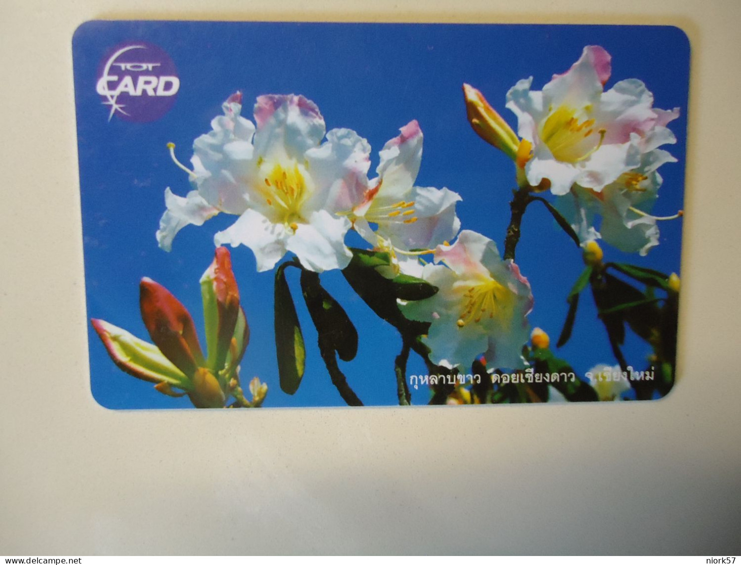 THAILAND USED CARDS TOT CHIPS PLANTS FLOWERS - Bloemen