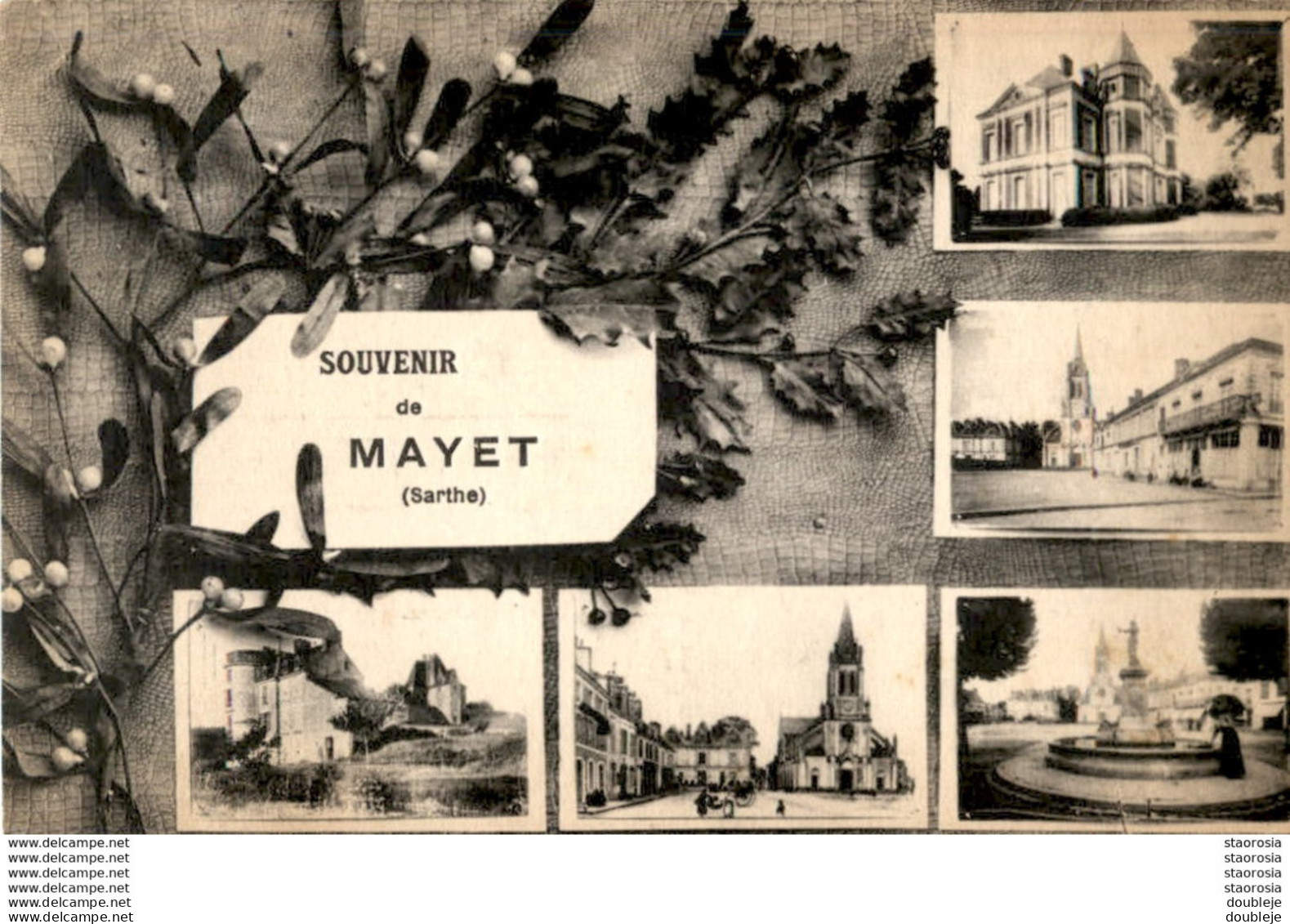 D72  MAYET  Souvenir De Mayet  ..... Multivues - Mayet