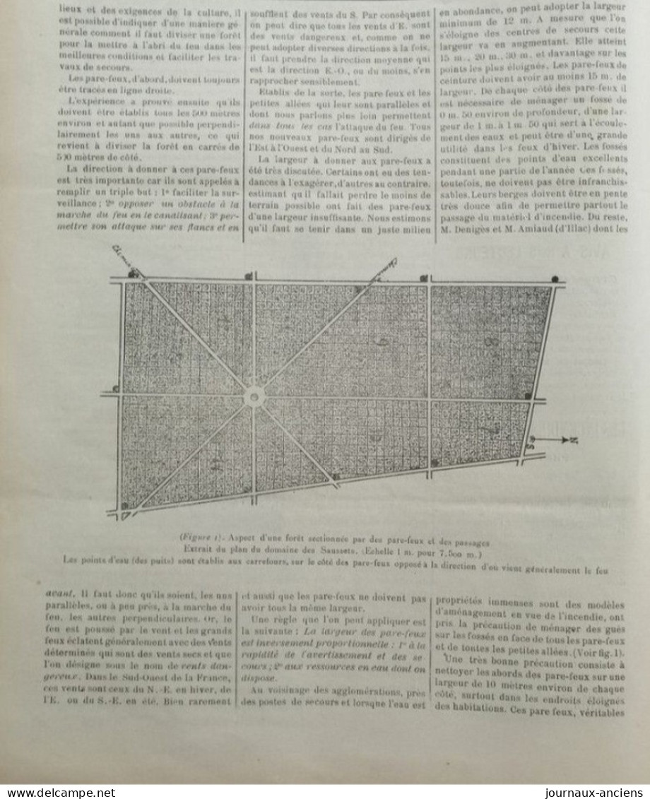 1912 Journal des SAPEURS POMPIERS - INCENDIE DE FORÊTS - CONCOURS DE BELFORT - FEU À PARIS - LE FERTÉ BERNARD