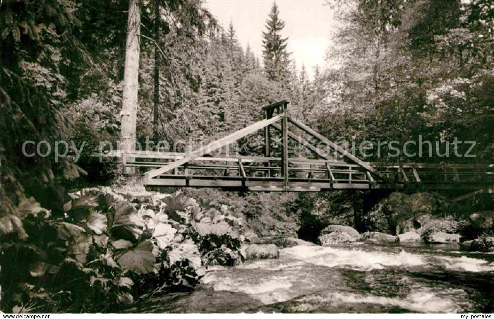 42817847 Hoellental Frankenwald Bach Bruecke Naila - Naila