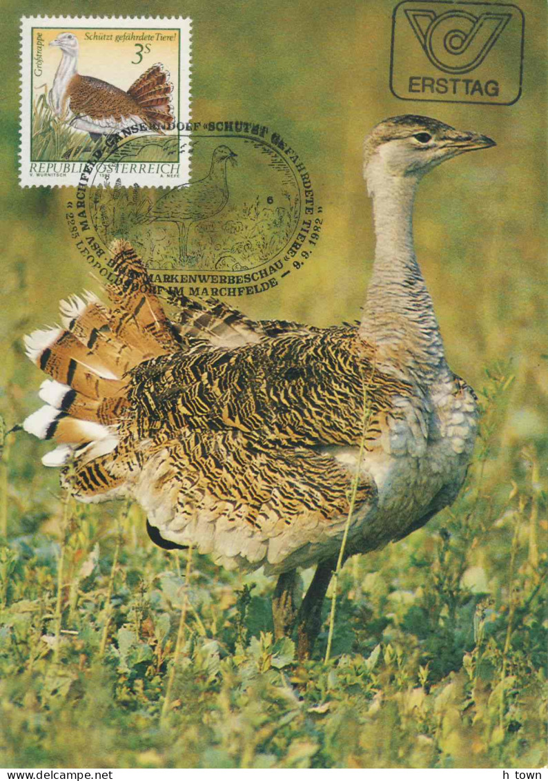 621  Grande Outarde: Carte Maximum D'Autriche, 1982 - Great Bustard Maximum Card From Austria - Gallinacées & Faisans