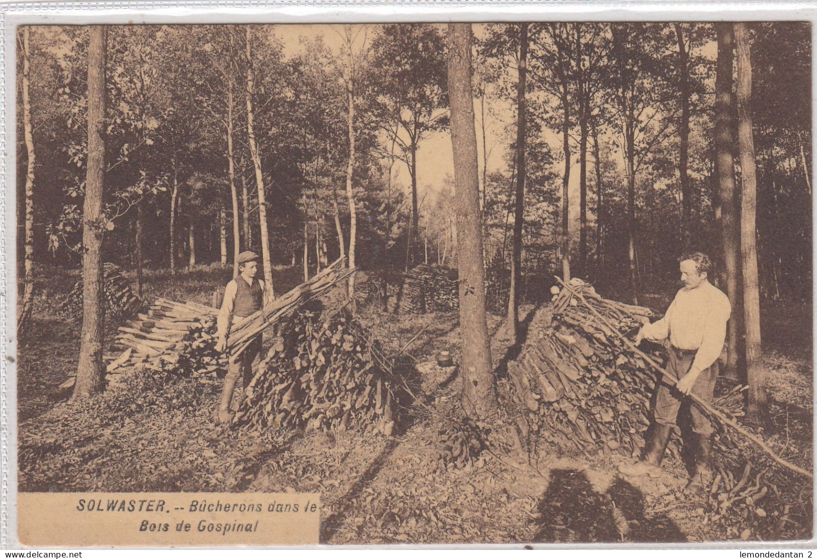 Solwaster. Bucherons Dans Le Bois De Gospinal. * - Jalhay