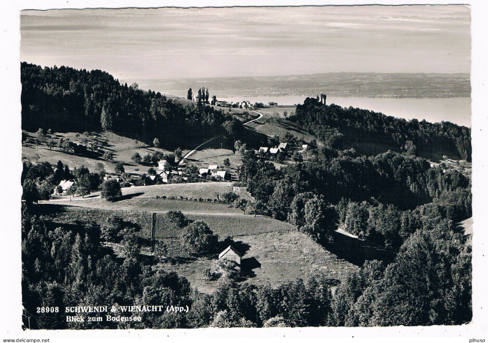 CH-8221  SCHWENDI & WIENACHT : Blick Zum Bodensee - Heiden