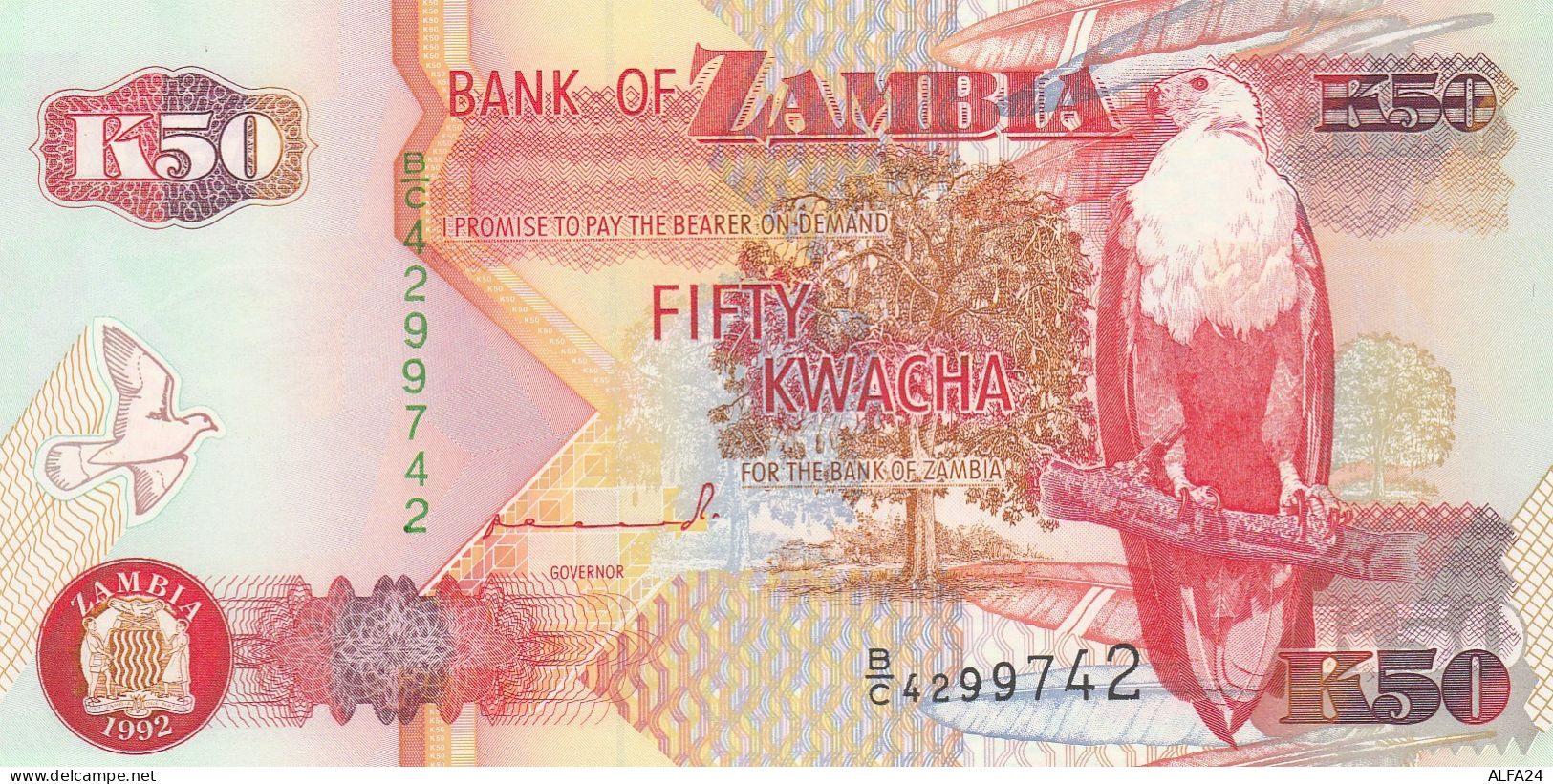 ZAMBIA 50 KWACHA -UNC - Zambie