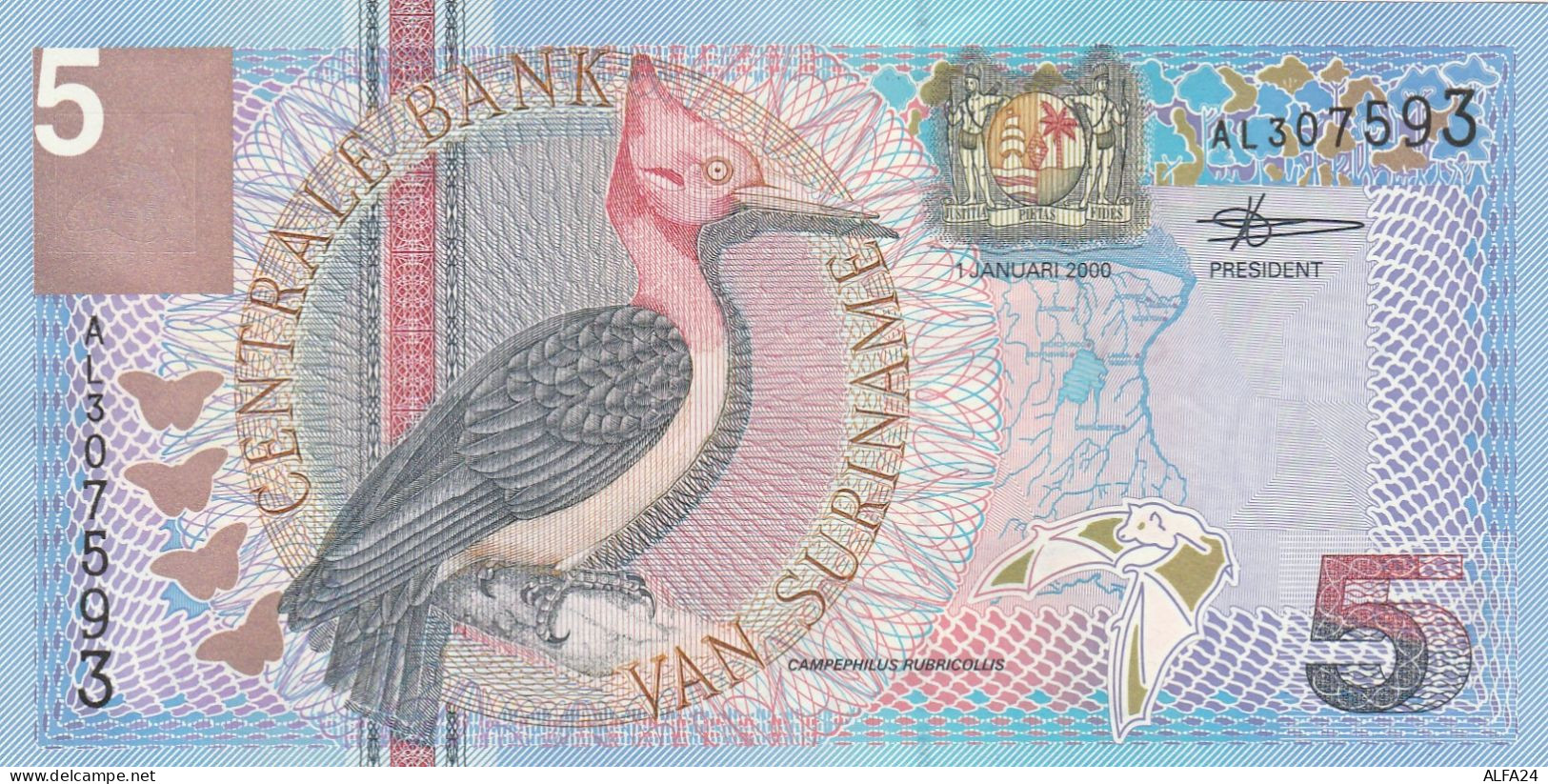 SURINAME 5 GULDEN -UNC - Surinam