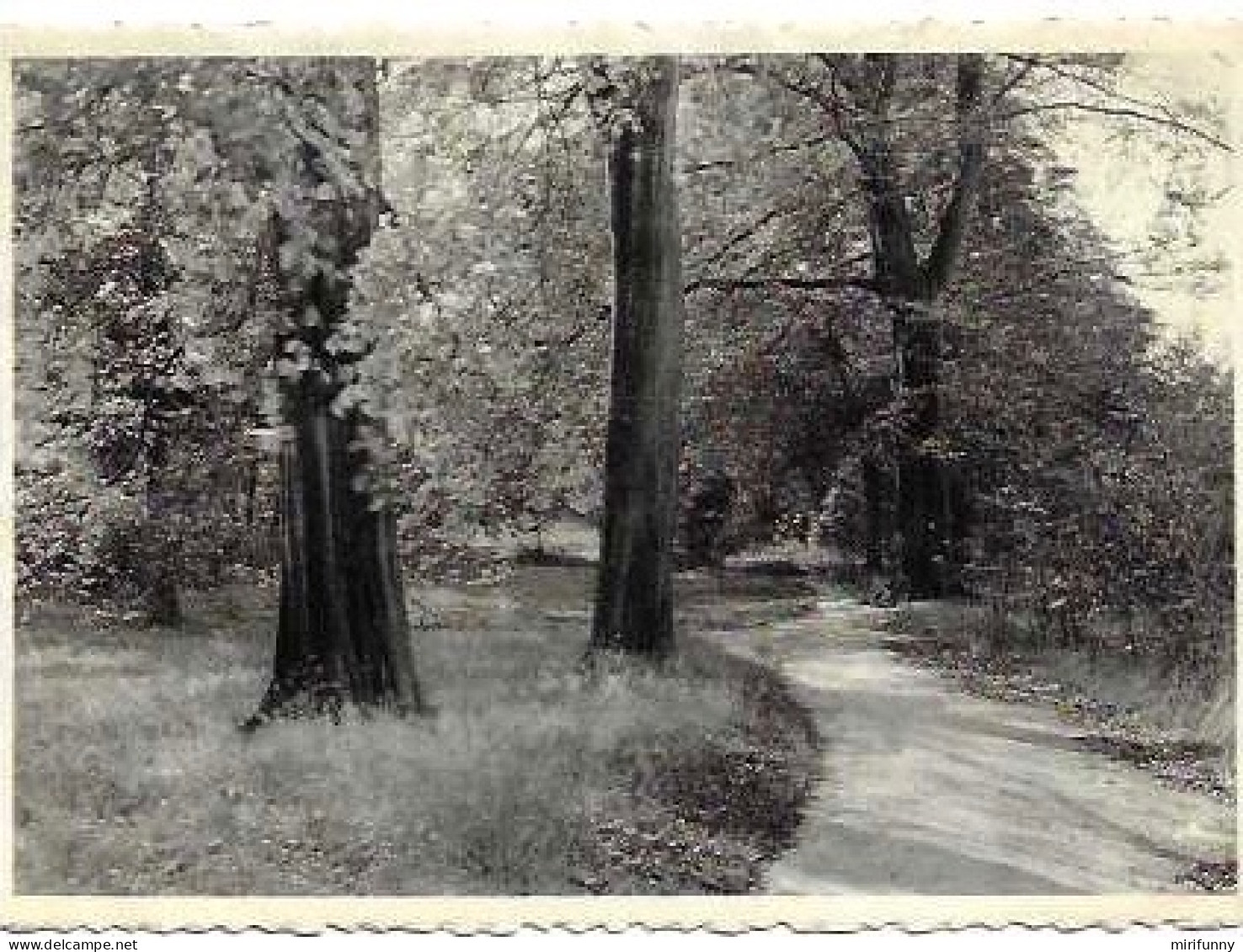 SCHILDE RETRAITEHUIS "REGINA PACIS " / IN ' T BOS/ NELS - Schilde