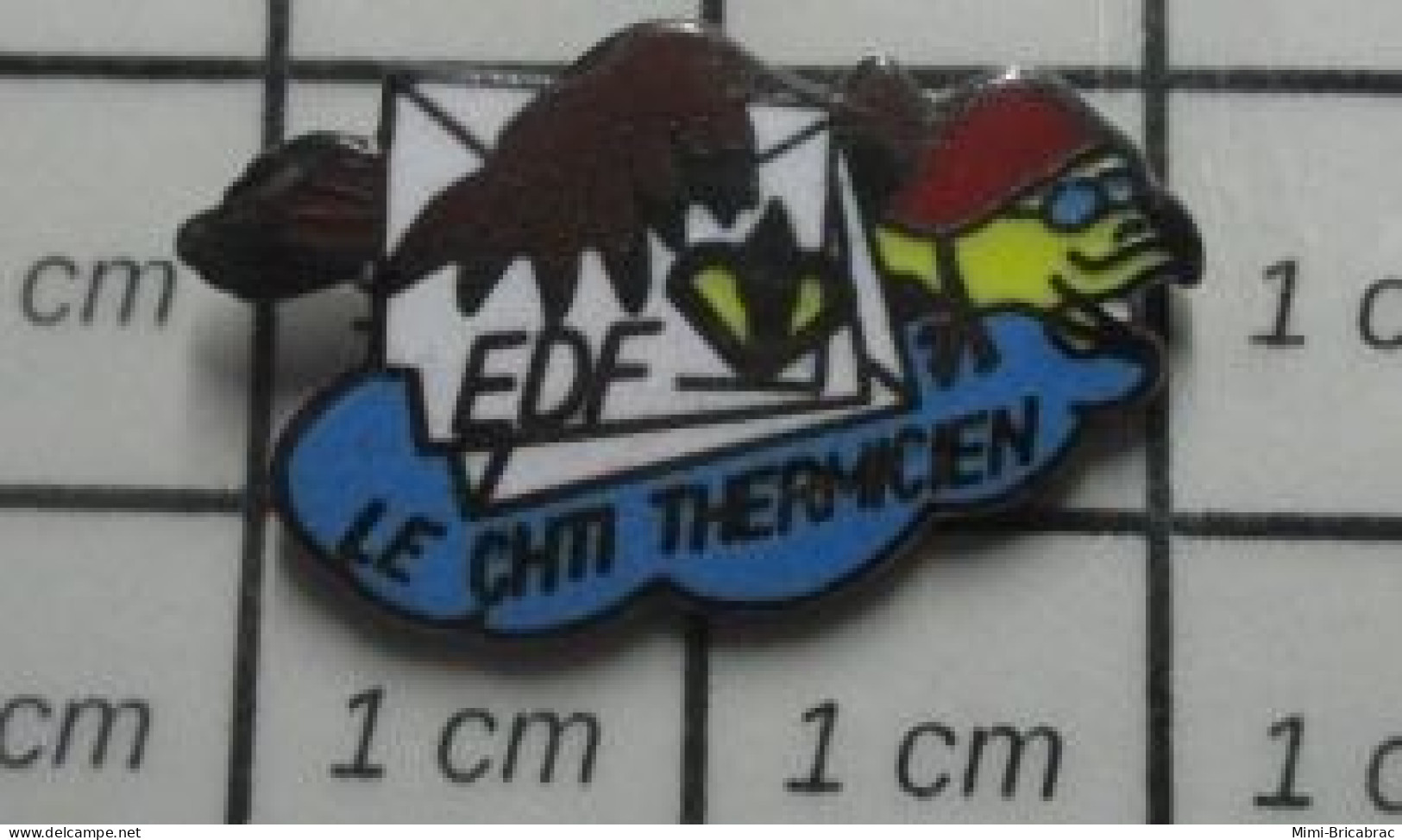 619  Pin's Pins / Rare Et De Belle Qualité !!! EDF / LE CHTI THERMICIEN - EDF GDF