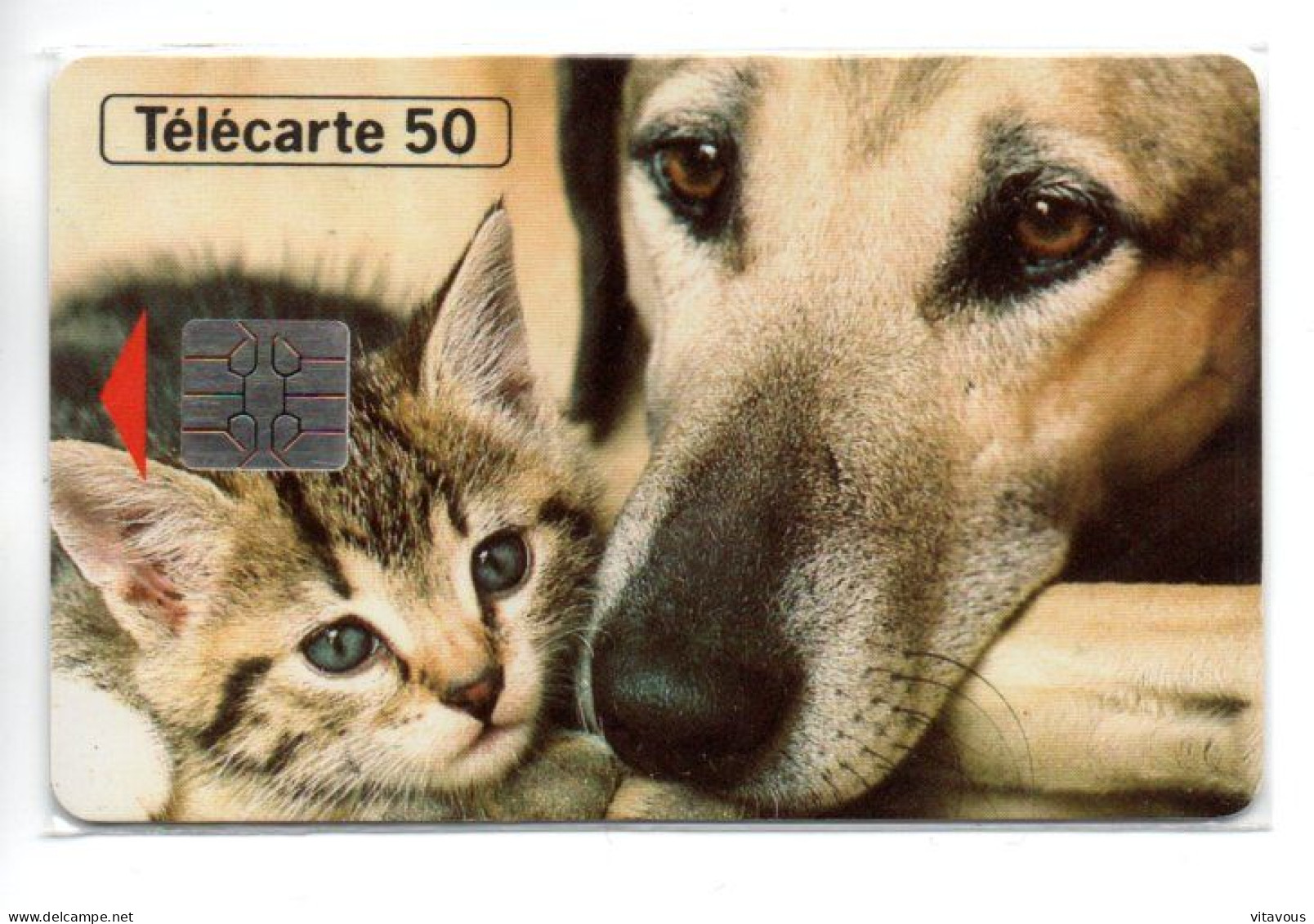 En 978 Wad Animaux Chien Chat Télécarte FRANCE 50 Unités Phonecard  (F 431) - 50 Unità  