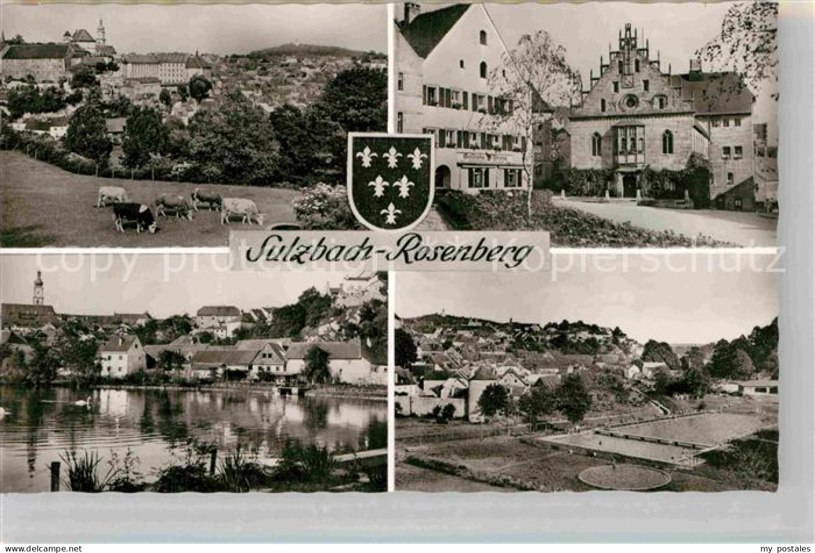 42808470 Sulzbach-Rosenberg Kuhweide Rathaus Freibad  Sulzbach-Rosenberg - Sulzbach-Rosenberg