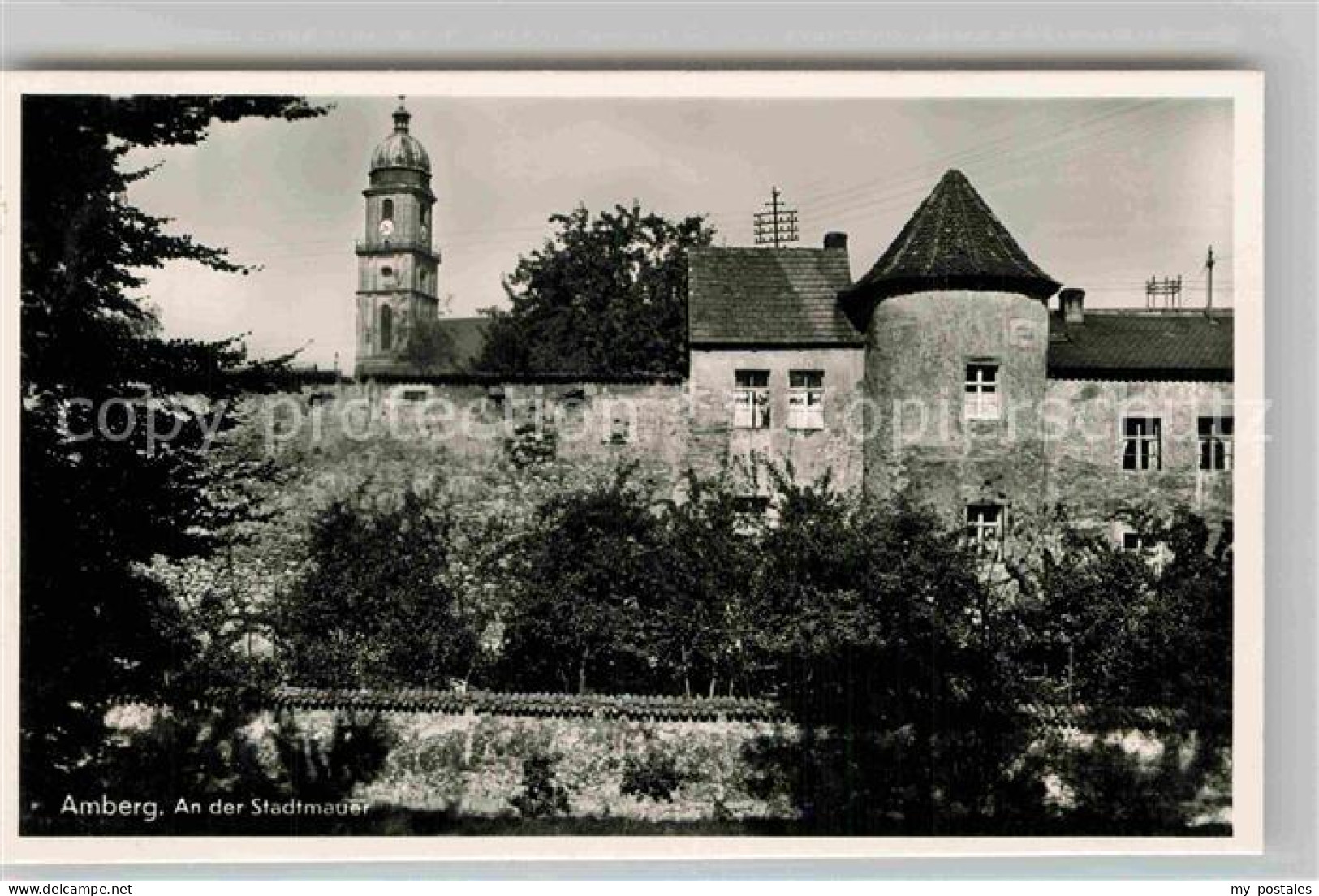 42808438 Amberg Oberpfalz Stadtmauer Amberg - Amberg