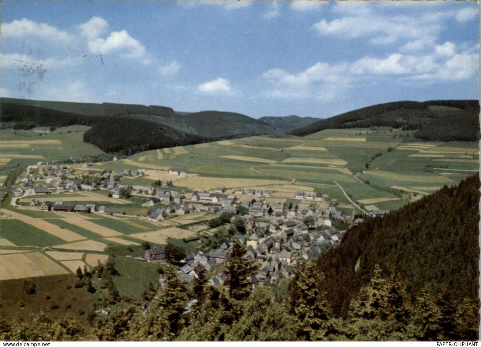 3542 WILLINGEN, Blick über Den Ort 1966 - Waldeck