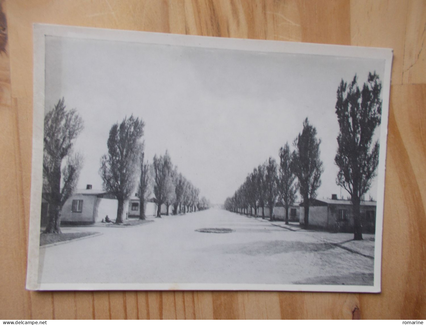 Dachau - Rue Principale Dans Le Camp - Dachau