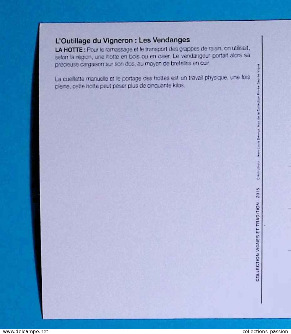 Cp, Agriculture, Vignes, Vin, LA HOTTE, L'outillage Du Vigneron : Les Vendanges, Les Petits-fils De Benoit Lafont - Weinberge