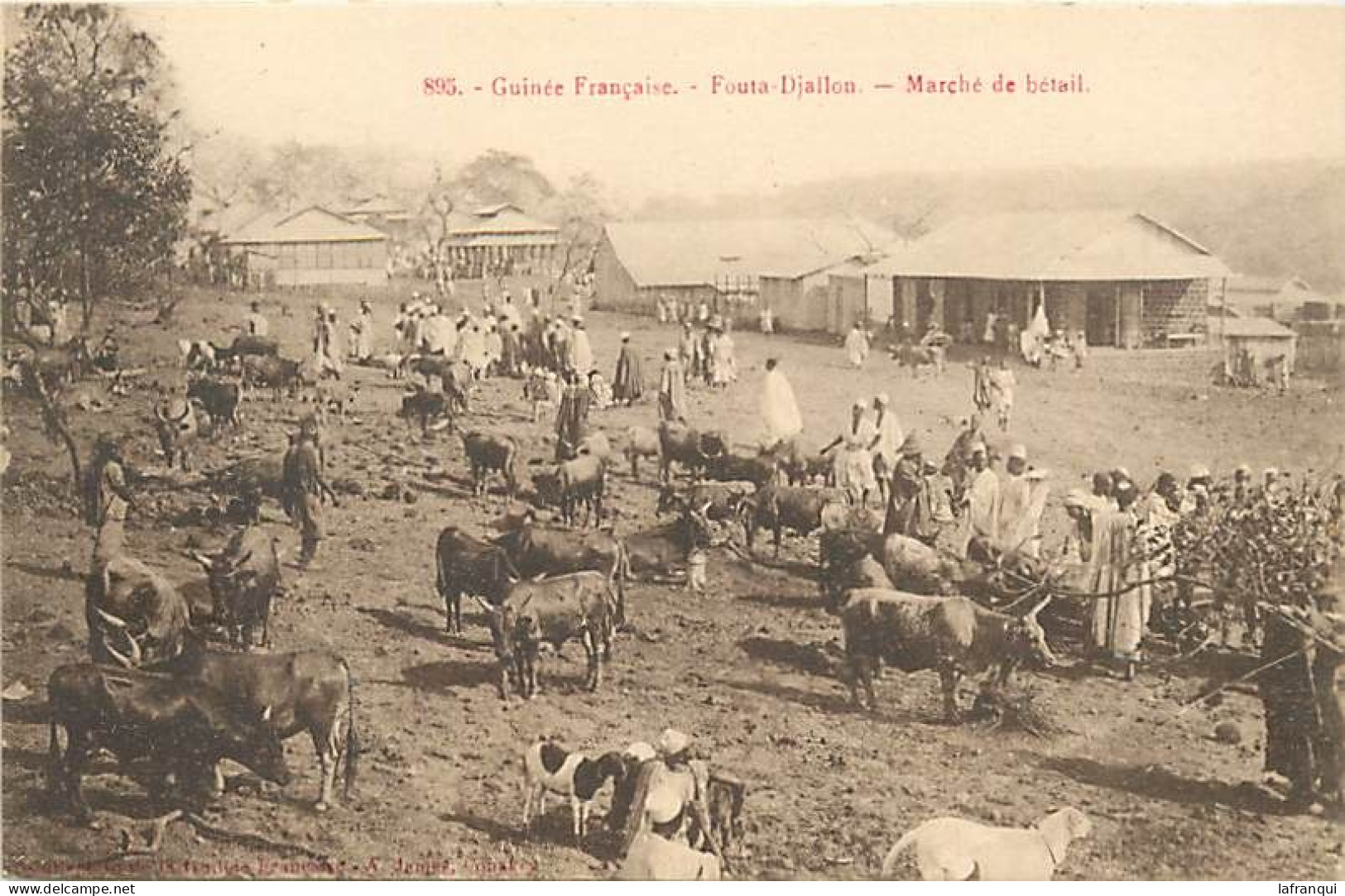 Pays Div-ref DD657- Guinée - Fouta Djallon - Marché Au Betail - - Guinée Française