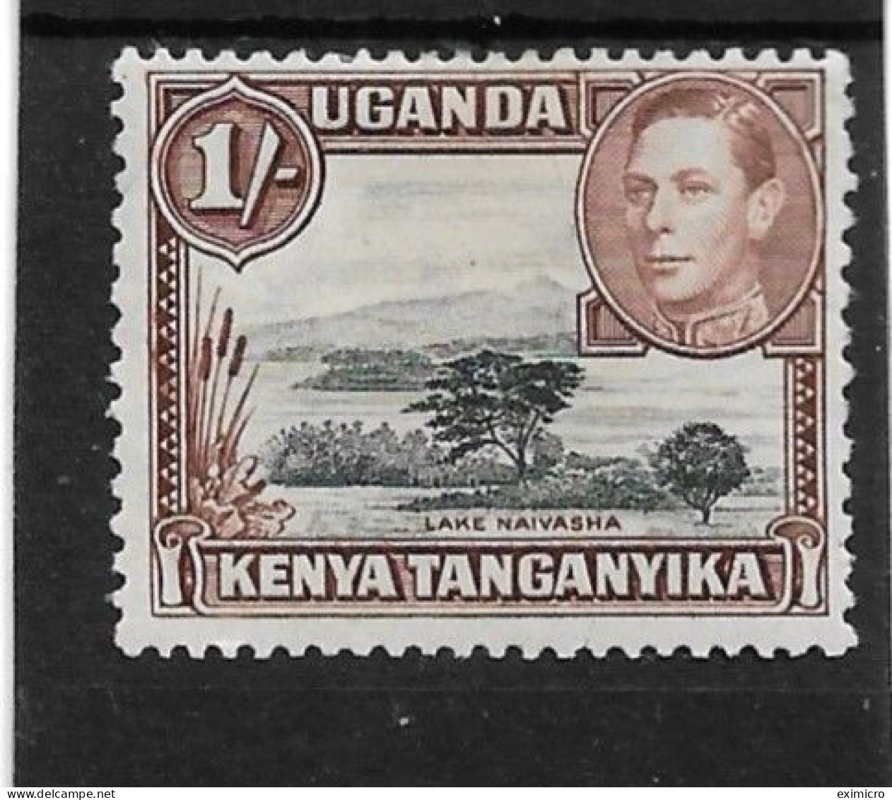 KENYA, UGANDA AND TANGANYIKA 1938 1s BLACK AND YELLOWISH-BROWN SG 145 PERF 13 X 11¾ MOUNTED MINT Cat £40 - Kenya, Uganda & Tanganyika