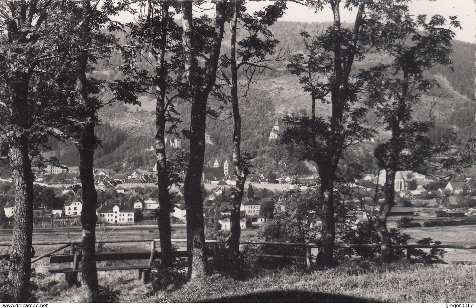 E463) FRIESACH In Kärnten  --  FOTO AK Durch Bäume Auf Häuser Der Stadt Gesehen ALT - Friesach