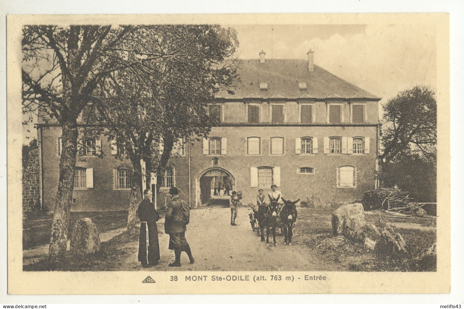 67/ CPA A - Mont Ste Odile - Entrée (belle Carte Avec Anes) - Sainte Odile