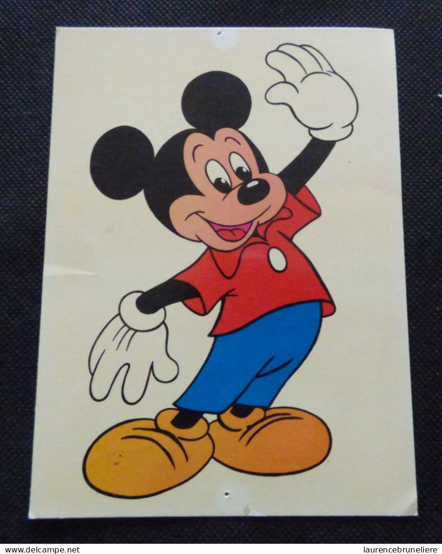 MICKEY-MOUSE - Other & Unclassified