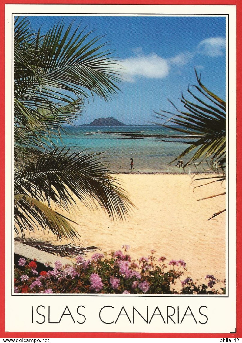España : Islas Canarias ( Fuerteventera ) Playa De Corralejo - Tarjeta Nueva - Muy Bueno Estado - Fuerteventura