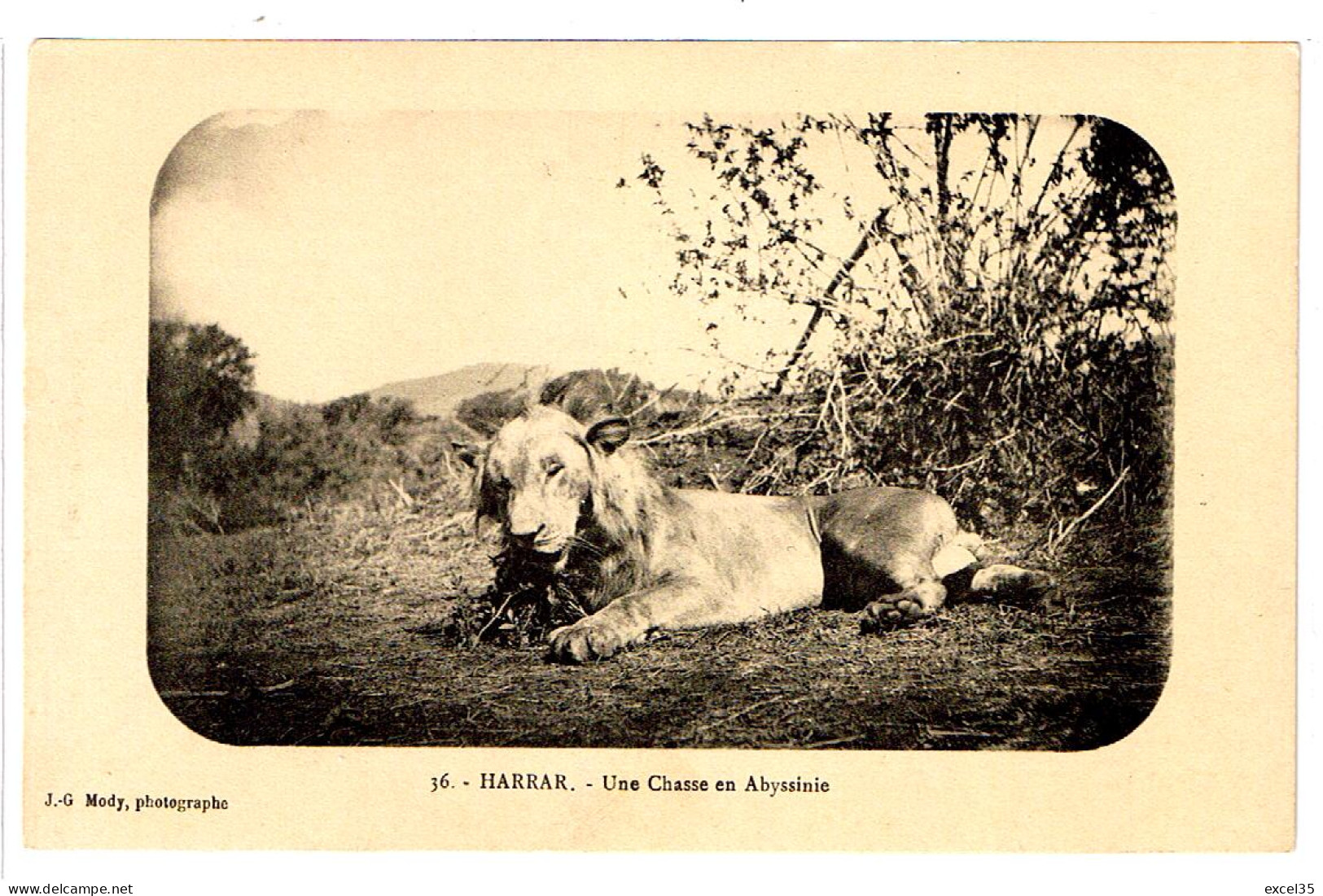 HARRAR ETHIOPIE - CPA TGP NV RR - Une Chasse Au Lion En Abyssinie - J. G. MODY Photographe N°36 - Ethiopie