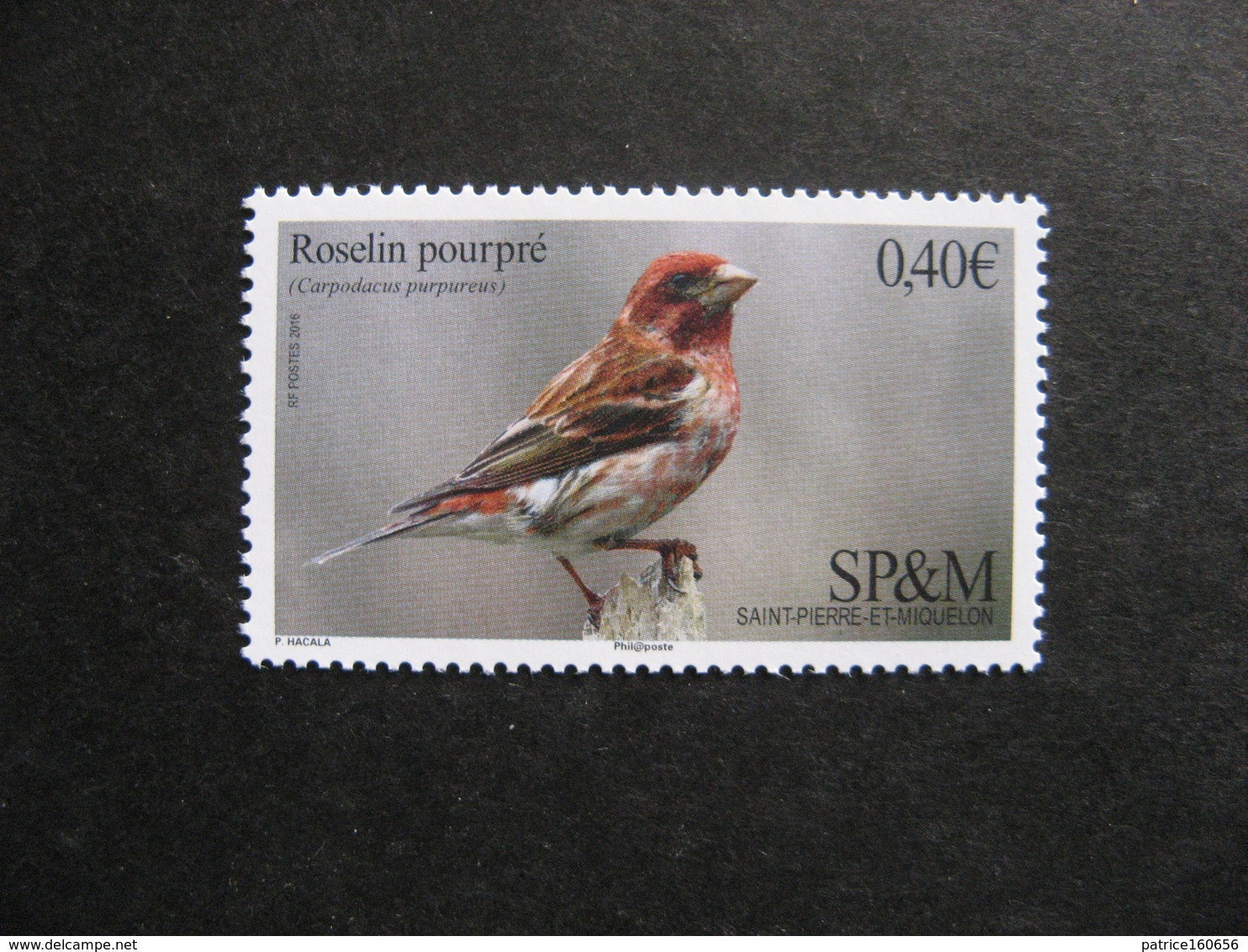 Saint Pierre Et Miquelon: TB N° 1148, Neuf XX. - Unused Stamps