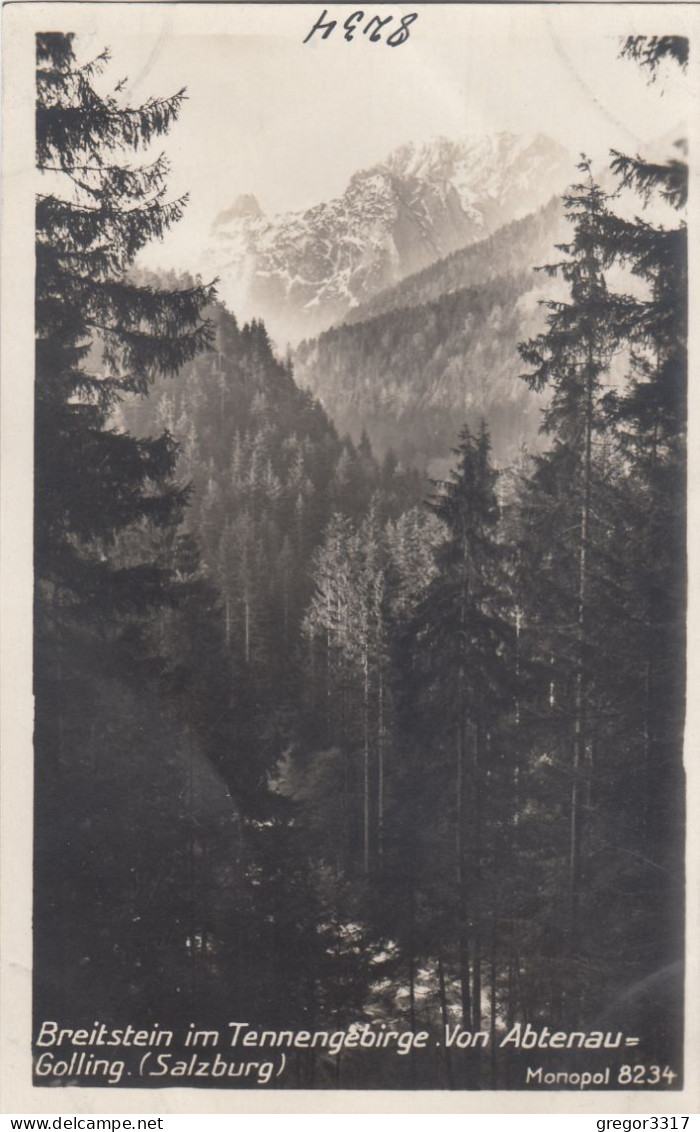 E527) BREITSTEIN Im Tennengebirge Von ABTENAU - GOLLING - Salzburg - Scöhne S/W FOTO AK Alt ! - Abtenau