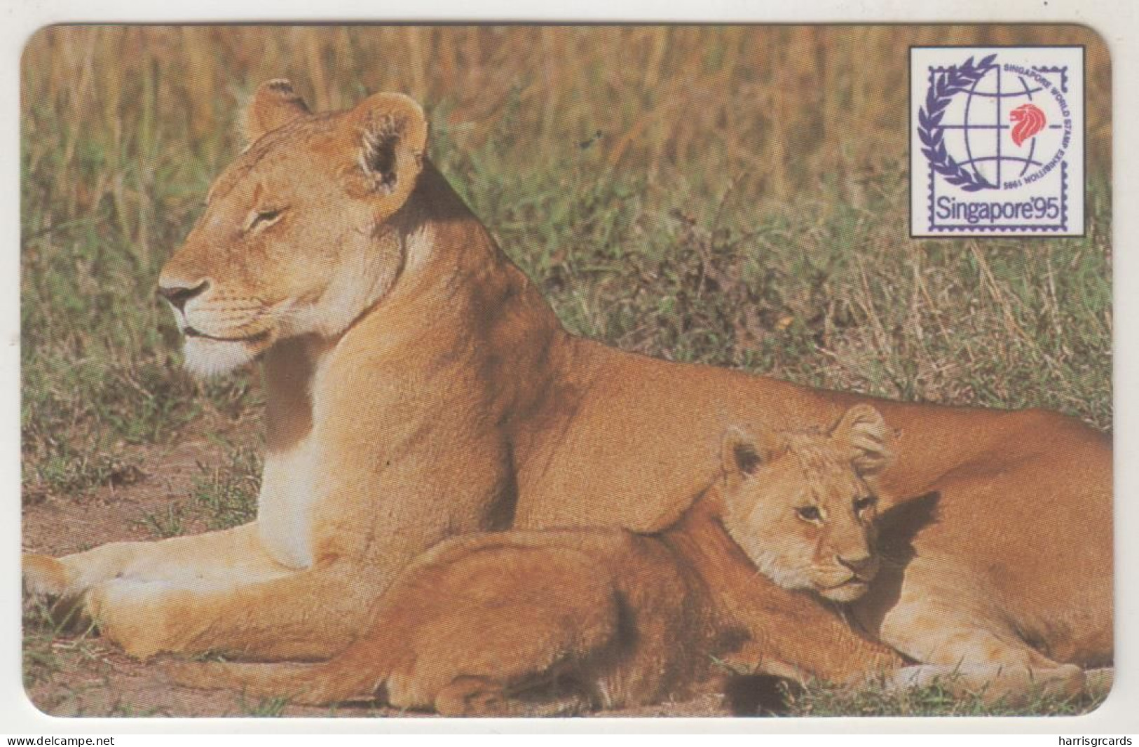 ZAMBIA - Lion, 100 U, FAKE - Sambia