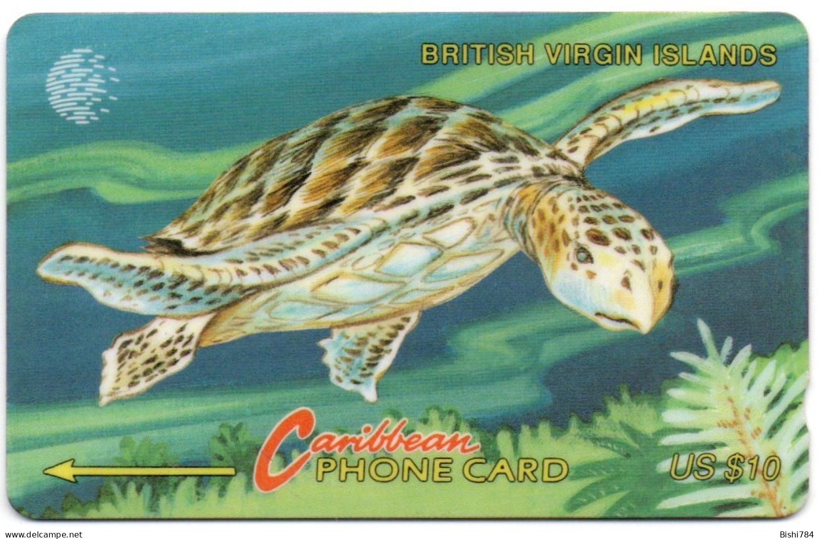 British Virgin Islands - Turtle - 20CBVB - Islas Virgenes