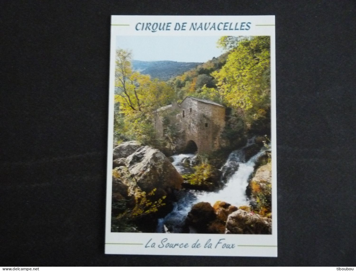 REGION LANGUEDOC ROUSSILLON - AIGOUAL / CIRQUE DE NAVACELLES / SOURCE DE LA FOUX RESURGENCE DE LA VIS - Languedoc-Roussillon