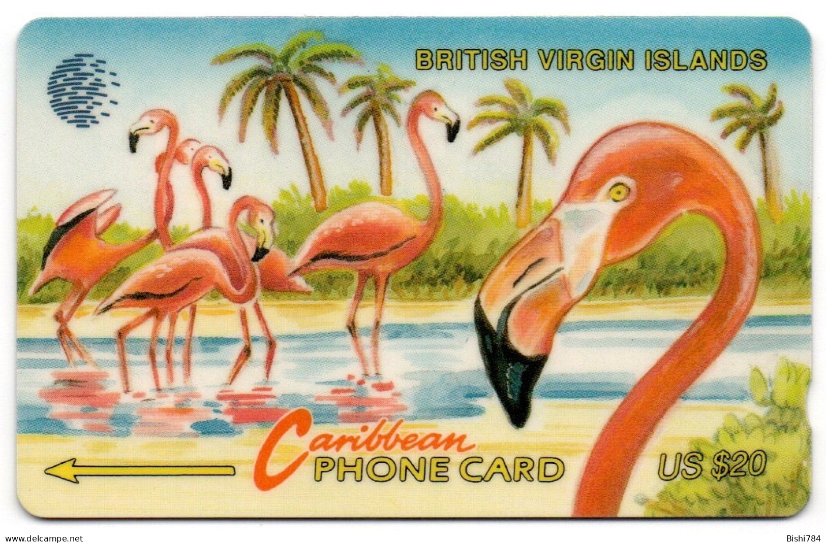 British Virgin Islands - Flamingoes - 21CBVE - Maagdeneilanden