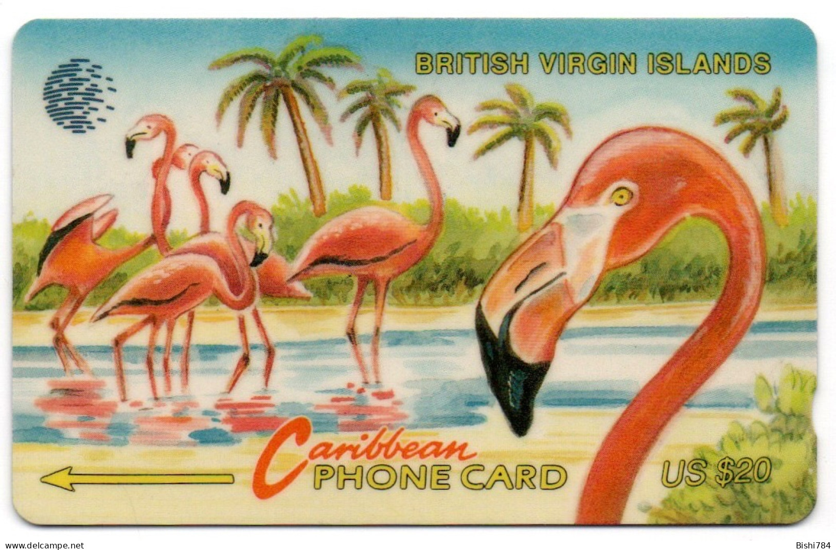 British Virgin Islands - Flamingoes - 23CBVE - Islas Virgenes