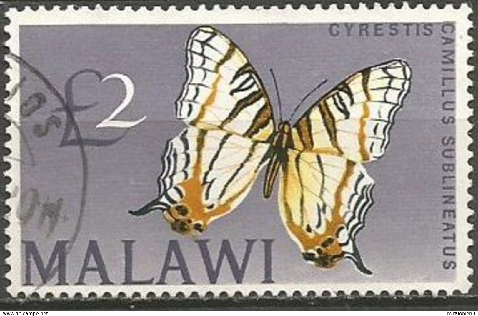 MALAWI YVERT NUM. 51 USADO - Malawi (1964-...)