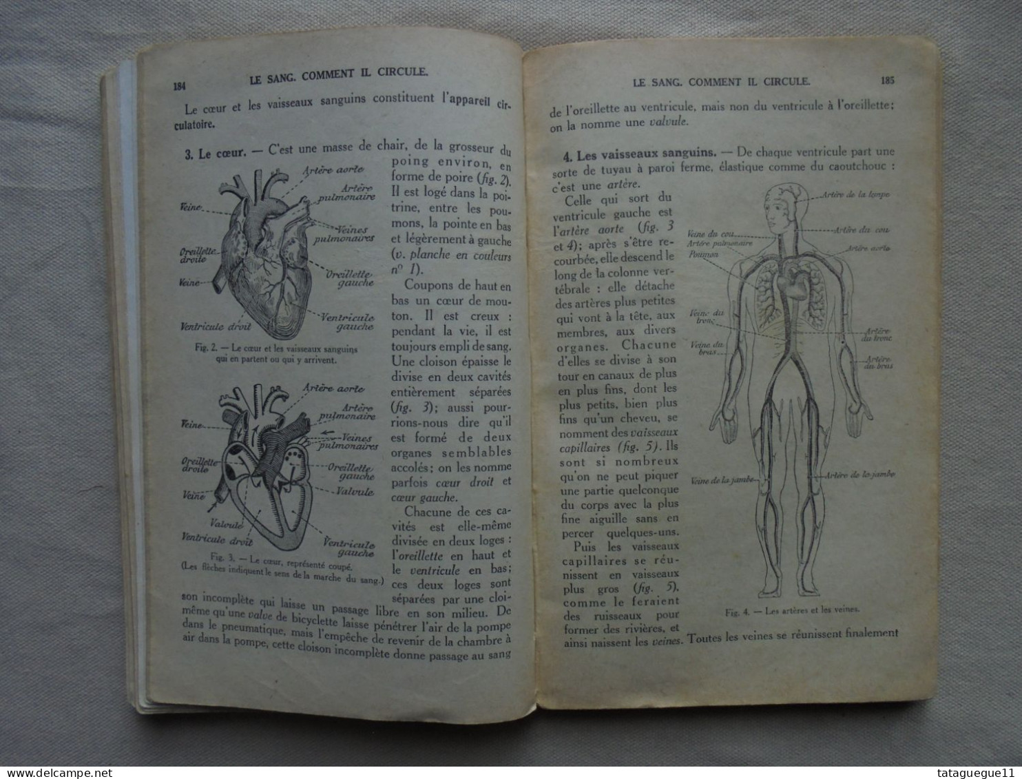 Ancien - Livre Leçons de Choses Cours Moyen Hachette 1942