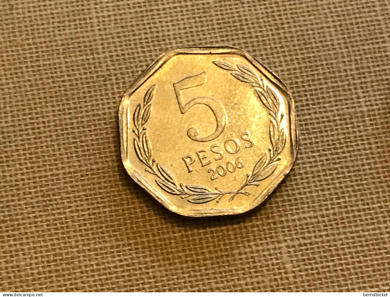 Münze Münzen Umlaufmünze Chile 5 Pesos 2006 - Chili