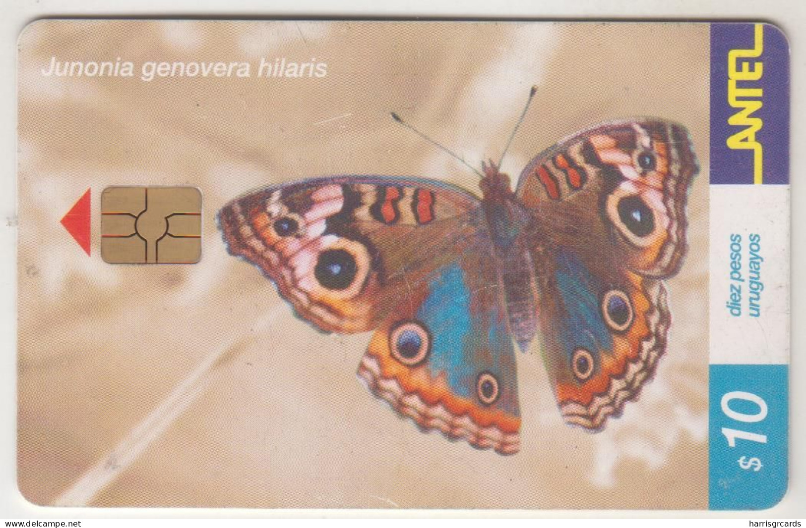 URUGUAY - Junonia Genovera Hilaris, TC 182a, 10 $ , Tirage 100.000, Used - Uruguay