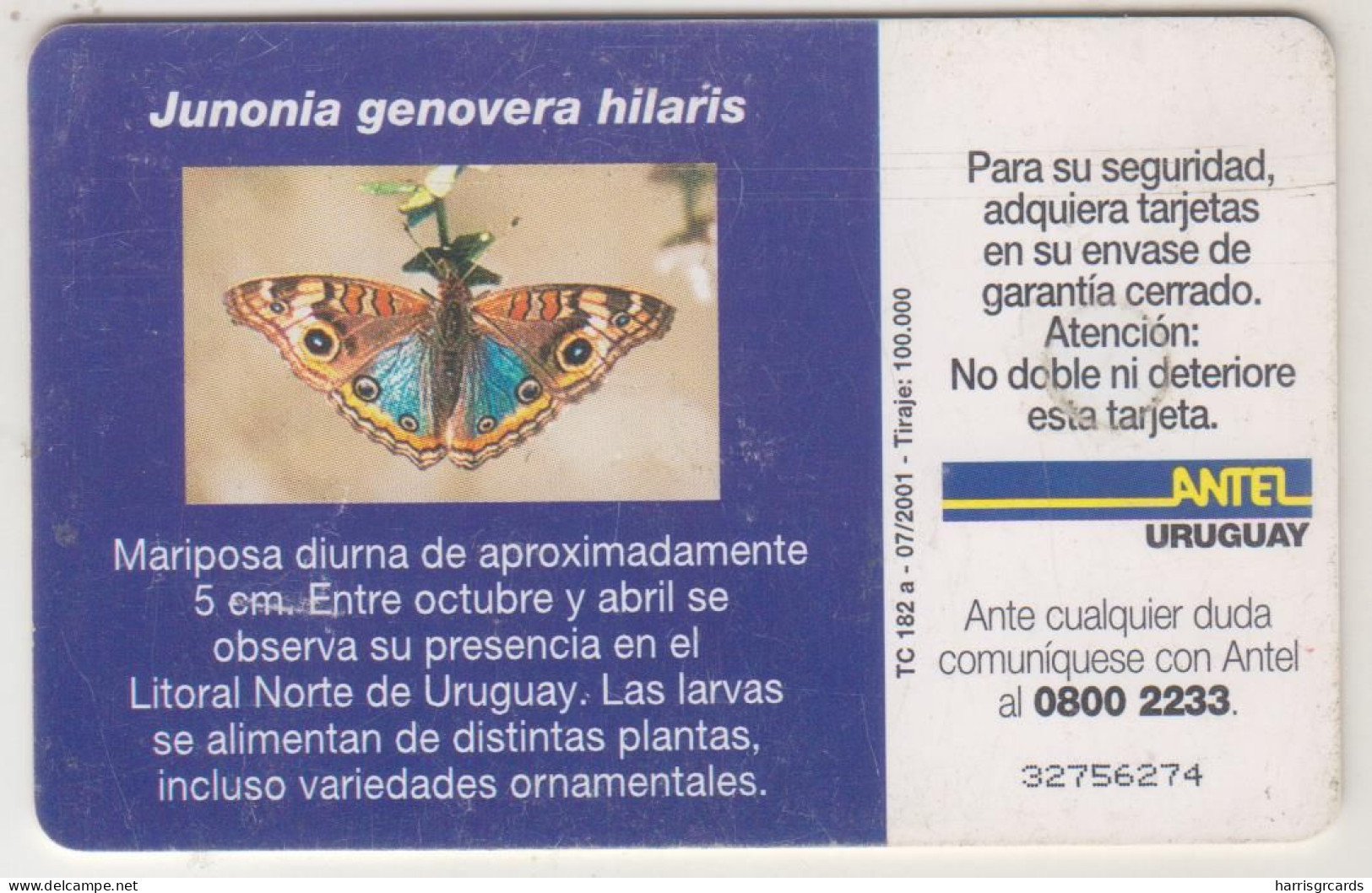 URUGUAY - Junonia Genovera Hilaris, TC 182a, 10 $ , Tirage 100.000, Used - Uruguay