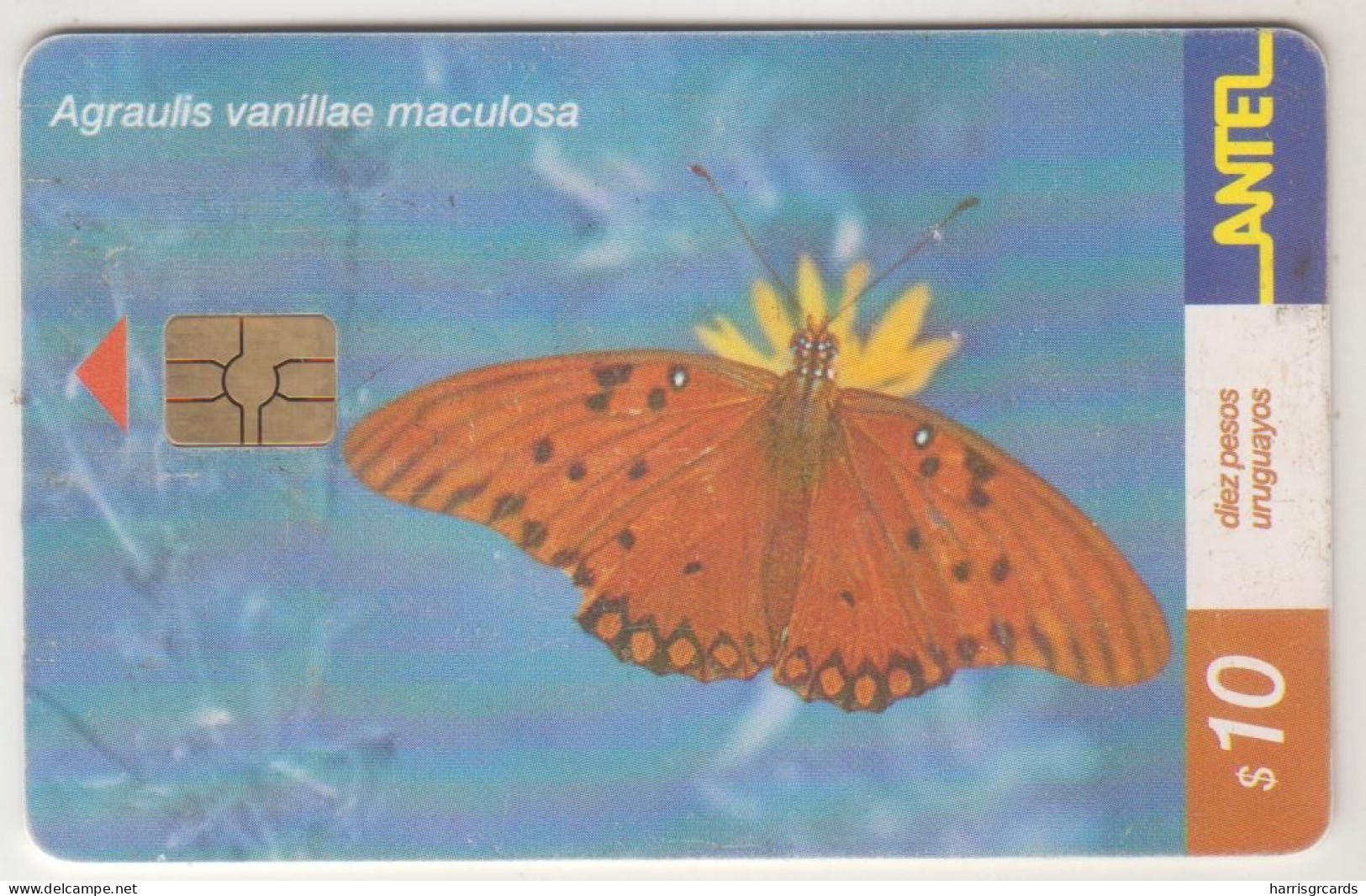URUGUAY - Agraulis Vanillae Maculosa, TC 183a, 10 $ , Tirage 100.000, Used - Uruguay