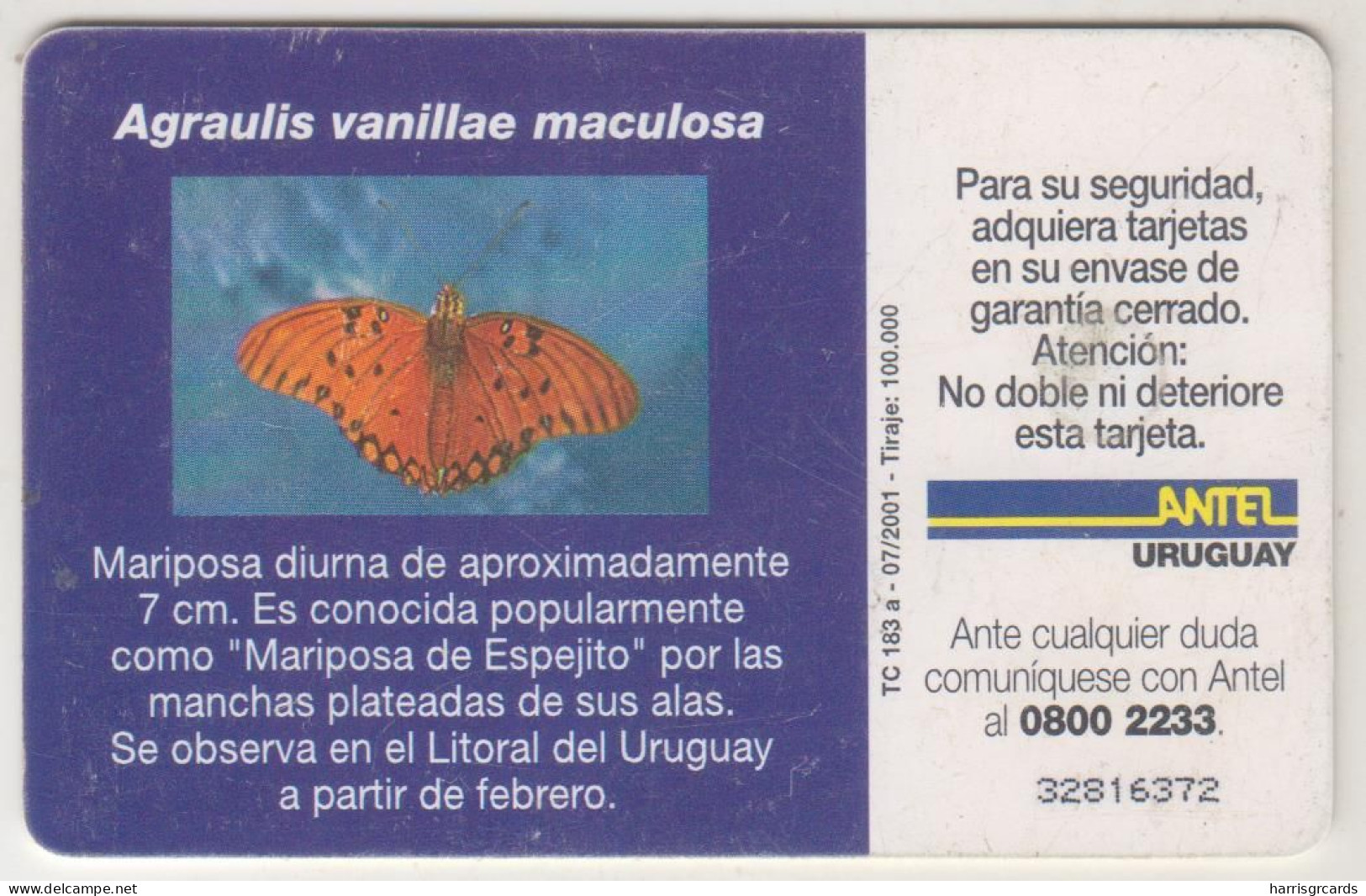 URUGUAY - Agraulis Vanillae Maculosa, TC 183a, 10 $ , Tirage 100.000, Used - Uruguay