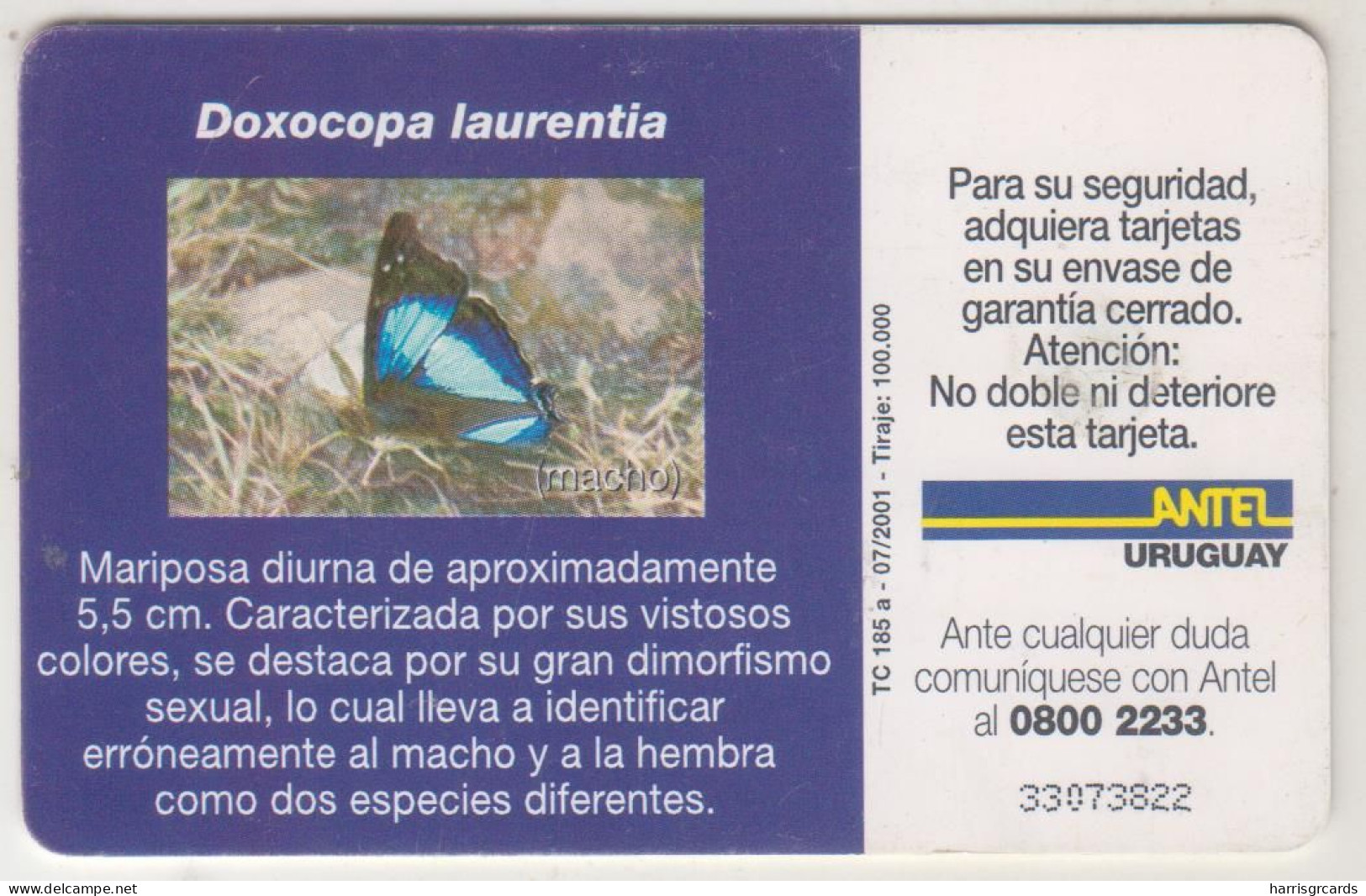 URUGUAY - Doxocopa Laurentia, TC 185a, 25 $ , Tirage 100.000, Used - Uruguay