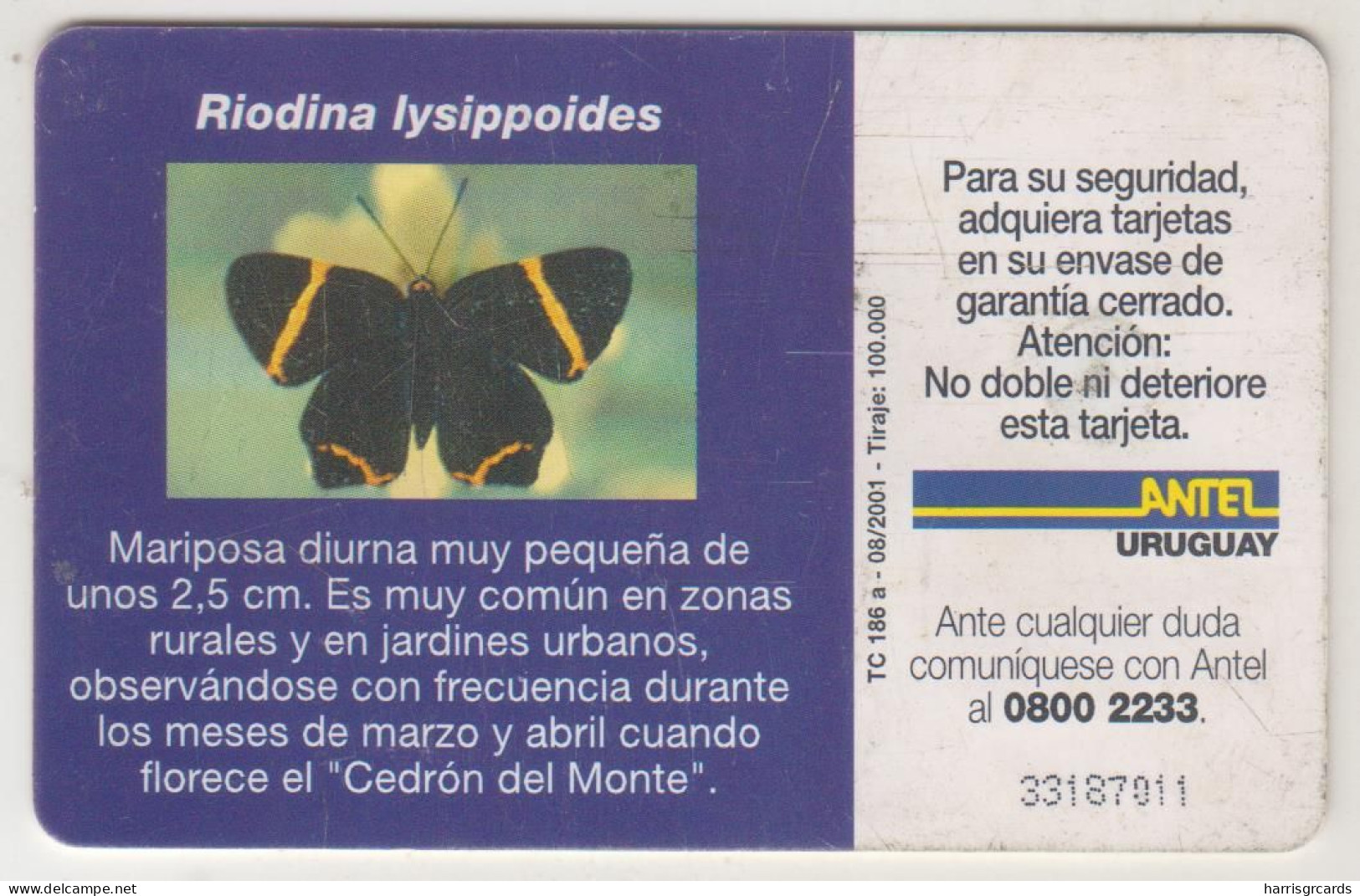 URUGUAY - Riodina Lysipoides, TC 186a, 10 $ , Tirage 100.000, Used - Uruguay