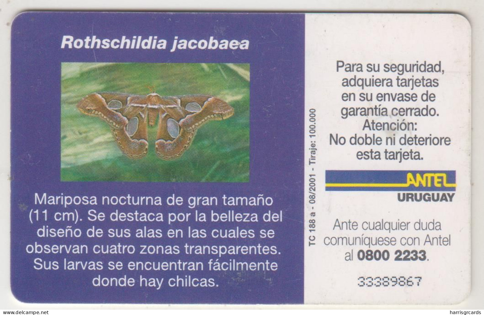 URUGUAY - Rothschildia Jacobaea, TC 188a, 25 $ , Tirage 100.000, Used - Uruguay