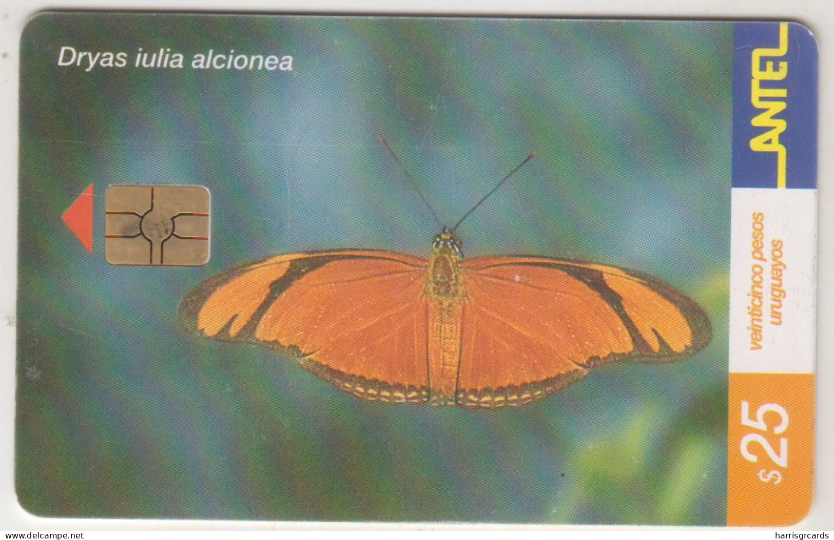 URUGUAY - Dryas Iulia Aldonea, TC 199a, 25 $ , Tirage 100.000, Used - Uruguay