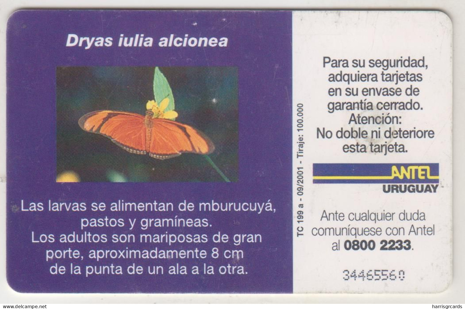 URUGUAY - Dryas Iulia Aldonea, TC 199a, 25 $ , Tirage 100.000, Used - Uruguay