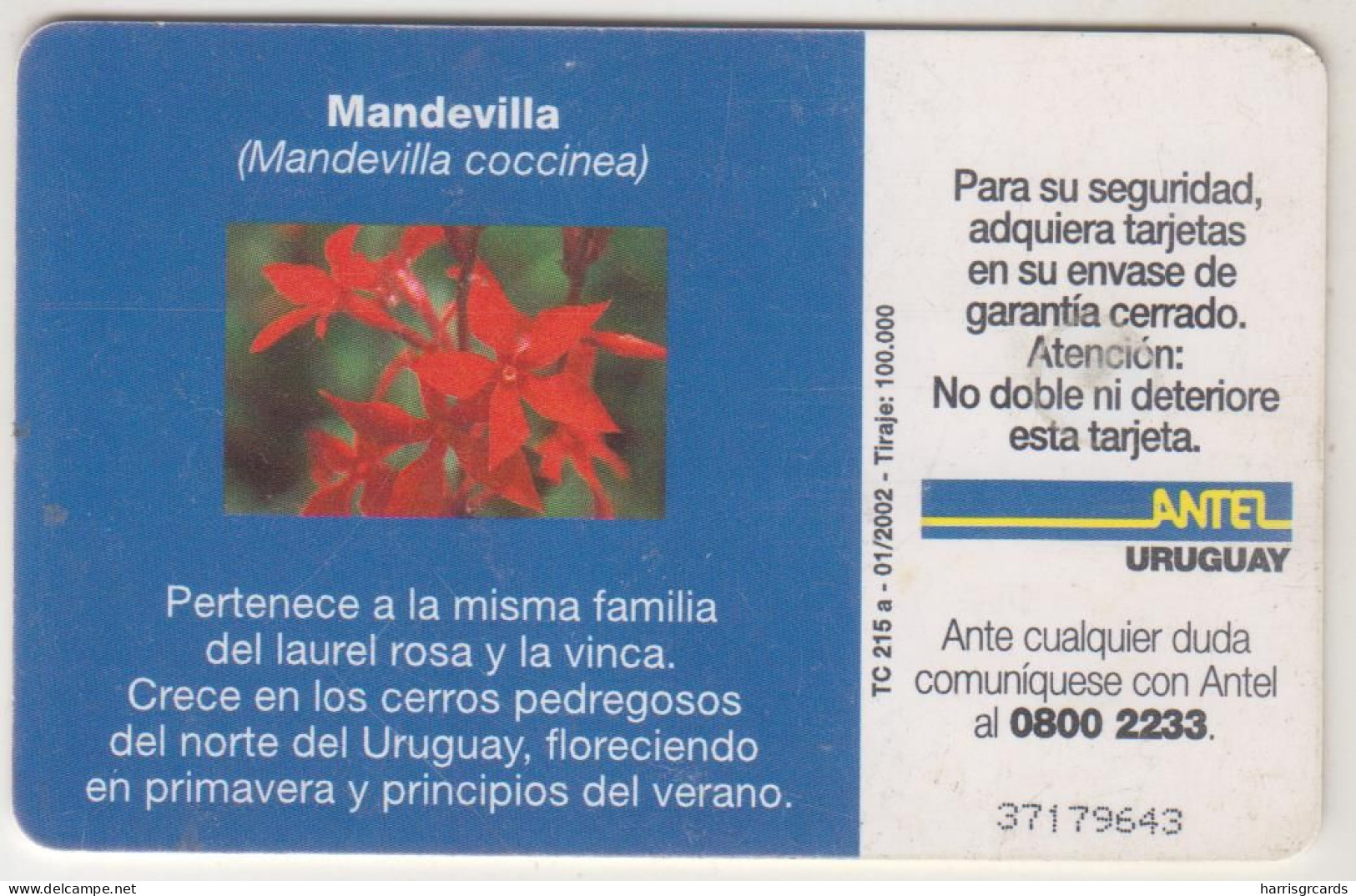 URUGUAY - Mandevilla, TC 215a, 50 $ , Tirage 100.000, Used - Uruguay