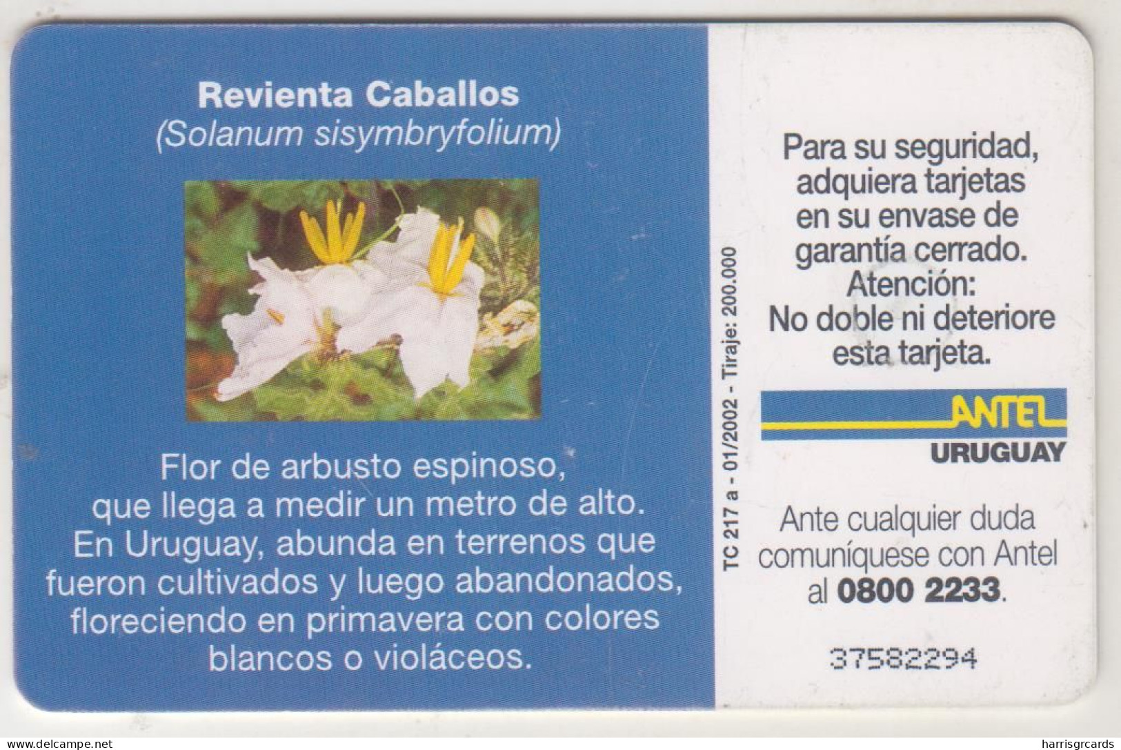 URUGUAY - Revienta Caballos, TC 217a, 10 $ , Tirage 200.000, Used - Uruguay